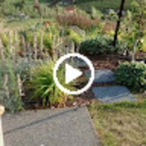 Meet your Posher, Alberto